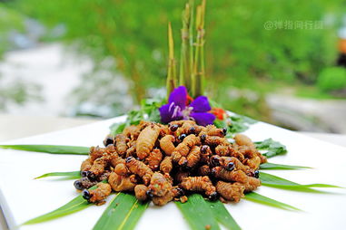 舌尖上的肇庆 地道农副产品零食的味蕾盛宴