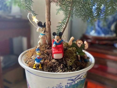 童趣与乡味 共绘童年零食的田园诗篇