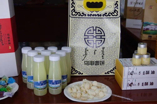乐享鄂尔多斯｜8月21日，来乌审旗撒欢儿，用农副产品零食治愈你的味蕾